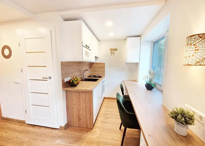 Apartamentų viešbutis & Old Town 10 Min Walk 24-hours Front Desk